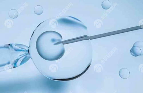 提升生育力：代怀男孩、供卵助孕的饮食调理与备孕策略