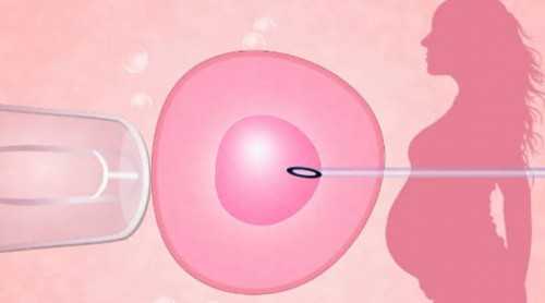 2026石家庄妇产医院供卵试管排队时长与费用：借卵助孕成本全揭秘