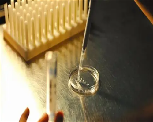 泰国供卵代怀婴儿费用解析：助孕成本与全包服务详情