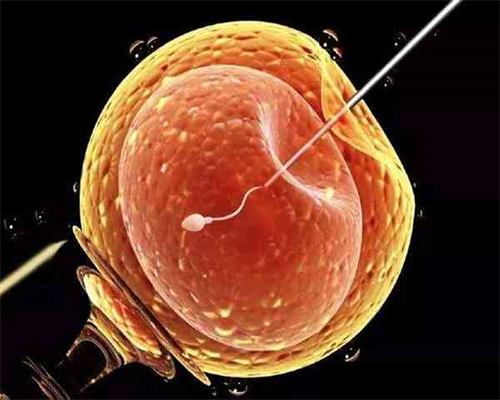 淮安一院生殖中心三代试管技术探析：助孕家庭的选择与建议