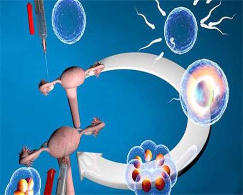 温州供卵试管婴儿医院选择指南：附一医、附二医与代生助孕机构深度解析