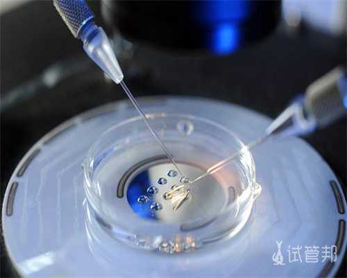 湖州供卵试管费用与法律真相：助孕家庭必读的生男孩风险提示