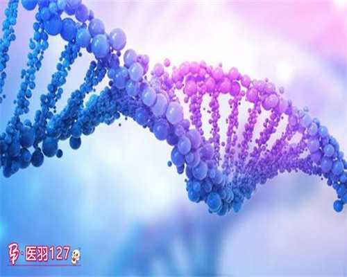 寻求供卵助孕：黑龙江富锦地区选择与国内外辅助生殖策略