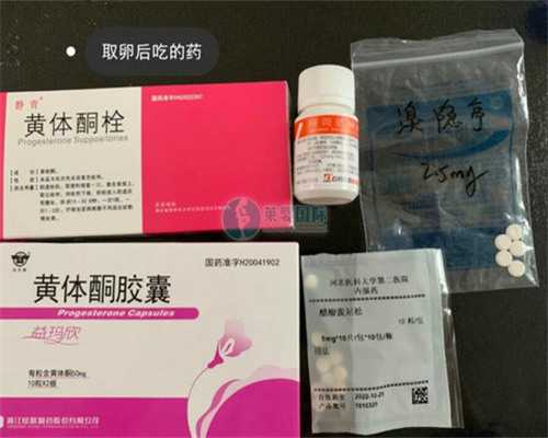 北大人民医院试管费用全解析：比交流群更详细的助孕、代生与辅助生殖指南