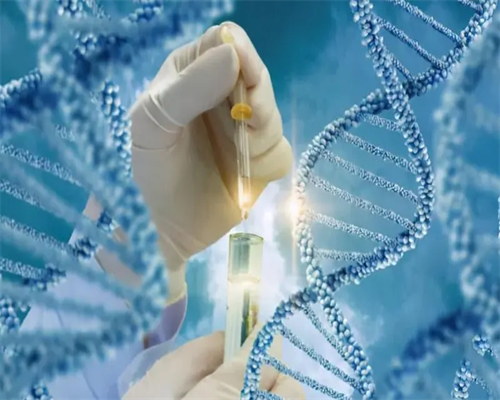 上海世纪孕妈志愿者_爱维艾夫医院|广西有哪个医院能做供卵试管？附供卵试管