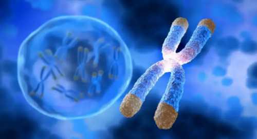 广州第三代试管价格：中山一院、中山六院与代孕公司