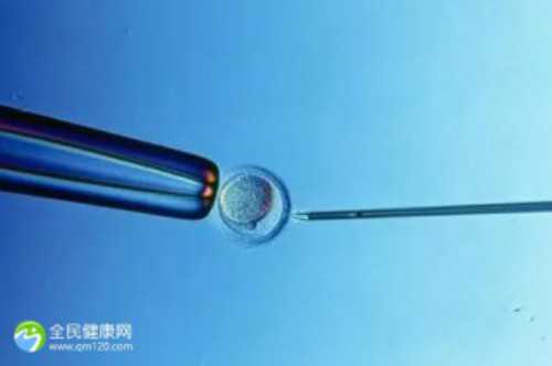 公立医院供卵与辅助生殖：南京鼓楼案例及法律探讨