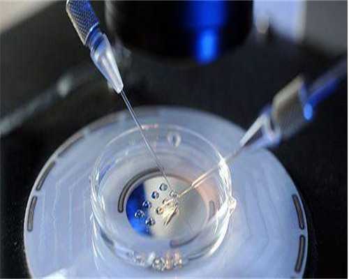 海南供卵三代试管助孕：成功率、费用及医院排名深度解析