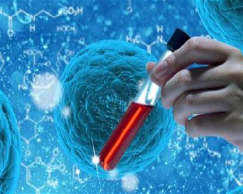 备孕助孕饮食指南：改善生育力，迎接健康宝宝