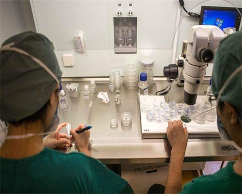 同性爱人代怀~广州中山医院试管价位_深圳武警医院做试管怎么样