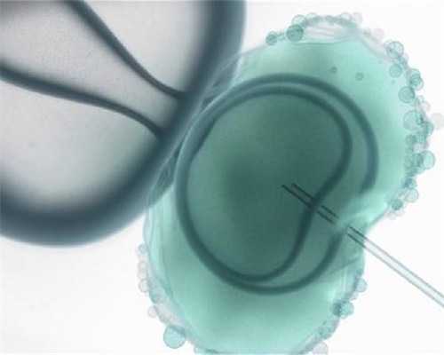 2026辽宁省试管婴儿与辅助生殖医院：供卵助孕机构排名与选择