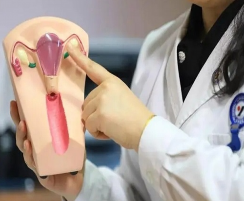 供卵试管助孕：探究养囊与优质囊胚移植如何提升成功率，兼论代孕公司选择要点