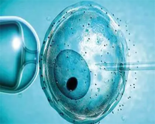 北京朝阳医院供精试管费用多少？助孕流程及成功率分析