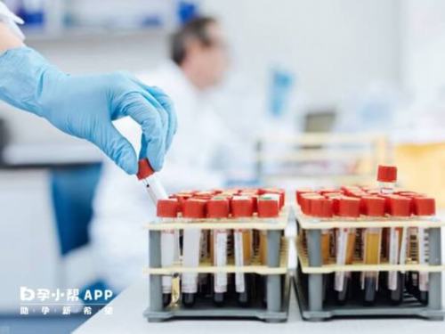 南阳试管助孕：费用构成与选择考量