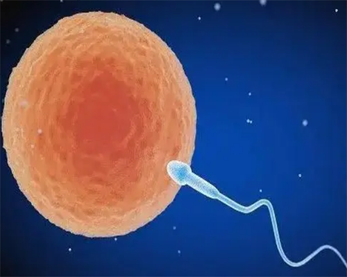 宝孕国际医疗_泰东方国际医疗官网|哈尔滨试管助孕-哈尔滨三代试管医院