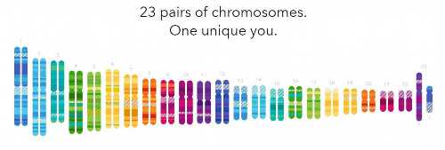 口服精液会致孕或不育吗？探讨生育健康与辅助生殖的科学视角