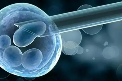 泰国辅助生殖：供卵、代生与试管助孕费用、合法性及优势深度解析