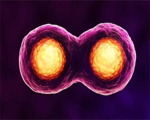 海南供卵试管：卵源排队现状、助孕机构与费用明细