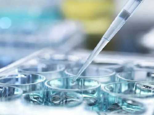 2026泉州供卵代怀助孕：医院选择、费用与成功率解析