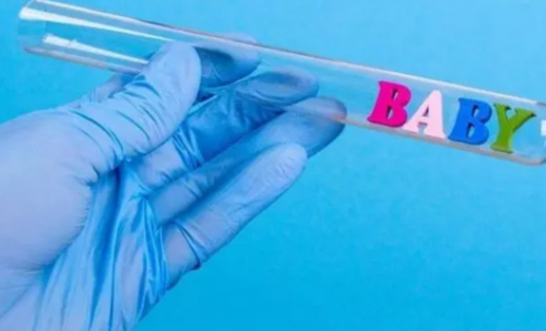 备孕助孕饮食攻略：精选小零食，助力代生代怀好孕之路