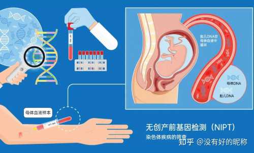 潍坊试管婴儿助孕费用详解与医院选择