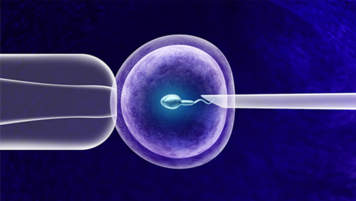 上海长海医院供卵试管：辅助生殖服务的疑问与解答