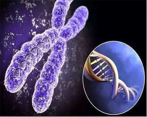 代生怀男孩,供卵选男孩,澳门可以供卵供卵代怀吗，坤和助孕生育中心