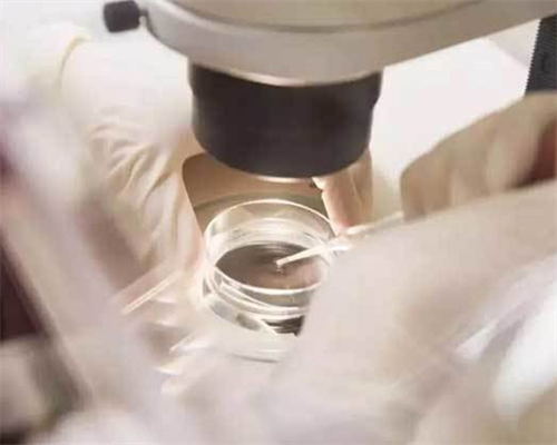 滁州助孕：代生供卵婴儿流程、供卵价格与成功率深度解析