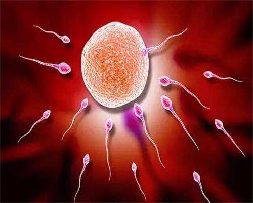 西藏阜康医院供卵代怀助孕指南：成功率、费用与流程全解析