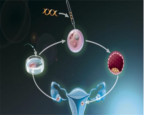 专业代生供卵助孕：丽阳助孕中心医生团队与服务详情