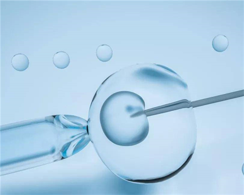 多囊卵巢综合症治疗深度解析：PCOS能否治愈与生育助孕策略