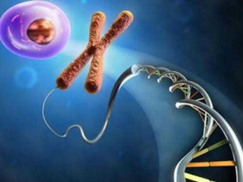 永州代生代怀助孕机构深度解析：供卵服务与三代技术一览