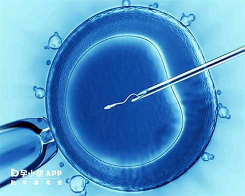 助孕代怀男孩~泰国试管移植冻囊胚着床？泰国试管移植冻囊胚着床成功率？