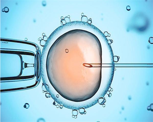 深圳市人民医院试管费用