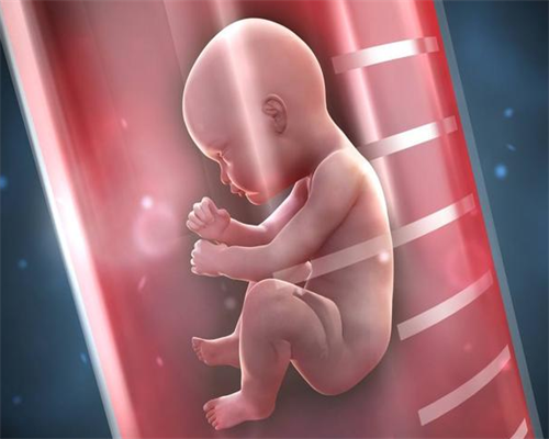 吉林供卵三代试管婴儿费用揭秘：2026年生男孩预算与流程全览