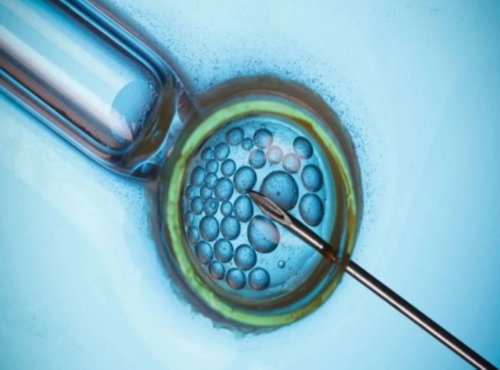 (a)代孕机构在哪里,公开前列：榆林卵巢早衰要怎样做试管婴儿