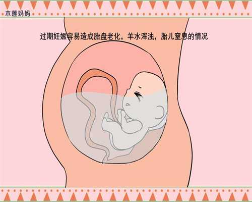 上海添丁助孕集团_好孕国际_试管婴儿初次检查最佳时间？什么时候做检查最好