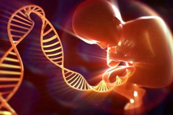 卓尼县37岁供卵移植成功率多少_泰国试管婴儿移植几个胚胎？移植后的注意事项