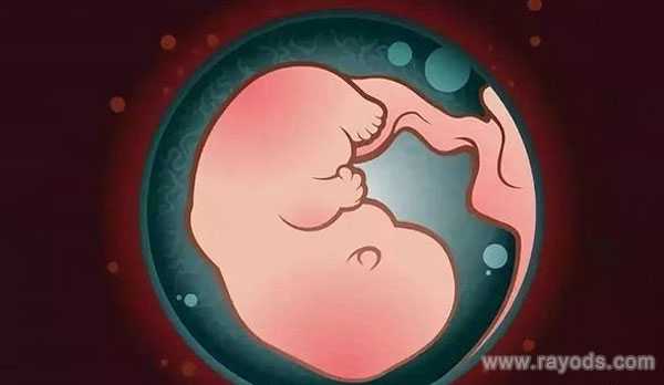洪山区43岁供卵生女儿_国内首例 “8型Meckel综合征”第三代试管婴儿诞生