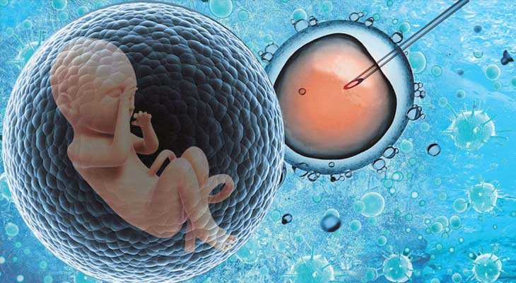 潢川县谁在做过代妈_三代试管婴儿取卵流程有哪些步骤？