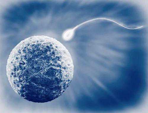 西湖区代妈生孩子出生证明_漳州助孕提示泰国试管婴儿冷冻胚胎一年费用多少