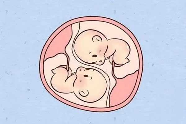 偏关县卵巢性不孕医疗_试管婴儿双胞胎费用和单胎费用是一样的大概在40000-5