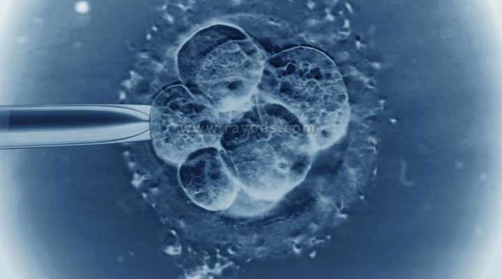 鹤壁39岁第三代试管成功率有多大_试管婴儿第五天的4bb囊胚质量到底怎么样？